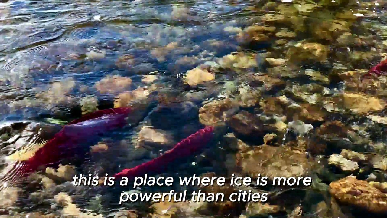 ALASKA