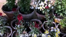 Gosto___mp4