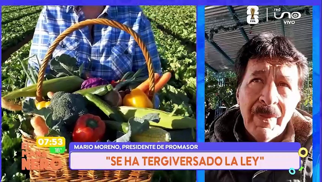 SECTOR PRODUCTIVO EN EMERGENCIA