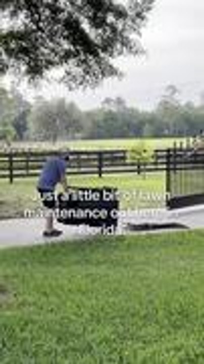 Family Shoo Away Alligator Using Trash Can