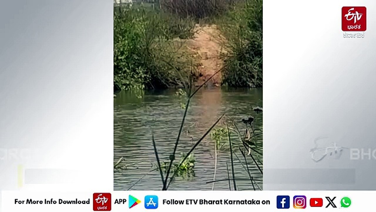 ದಾವಣಗೆರೆ: ಎರಡು ಕಾರುಗಳ ನಡುವೆ ಡಿಕ್ಕಿ; ಇಬ್ಬರು ಯುವಕರು ಸ್ಥಳದಲ್ಲೇ ಸಾವು