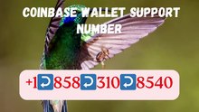 【Full】℠ [*Lis%t] of Coinbase% Toll Free nUmbers in the USA: The Final GUidelines