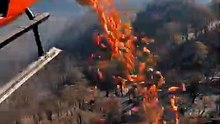 Helicopter Drops Carrots for Wildlife After Wildfire ❤️🚁