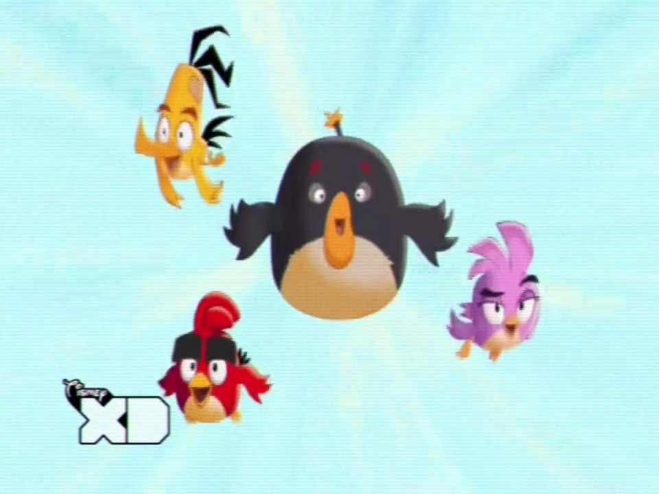 Angry Birds Locuras de Verano - Intro (emisión en Tismey XD LATAM, feed México, Noviembre 2024)