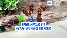 Ειδήσεις | 8 Μαΐου 2026 - Βραδινό δελτίο