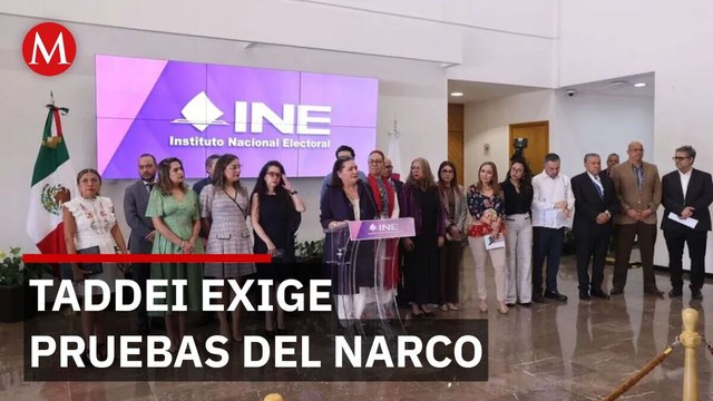 Taddei, INE, Sinaloa, elecciones, narco, política, México, Rocha, crimen, denuncias