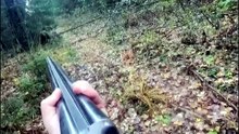 Un chasseur se fait charger par un ours... flippant