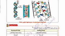 كيف اكتشف واطسون وكريك سر الحياة؟ لغز الـ DNA