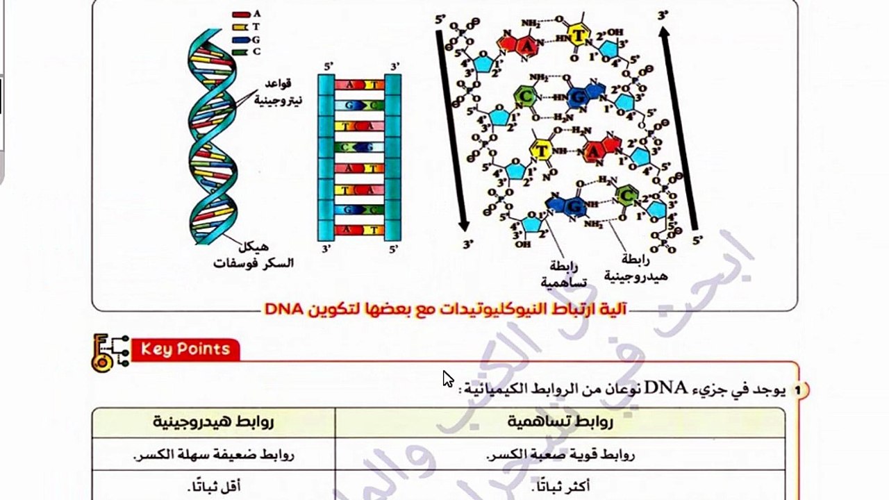 كيف اكتشف واطسون وكريك سر الحياة؟ لغز الـ DNA