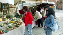 Mercado castellano en Valladolid