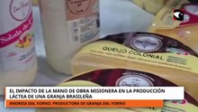 Fenasoja: El impacto de la mano de obra misionera en la producción láctea de una granja brasileña