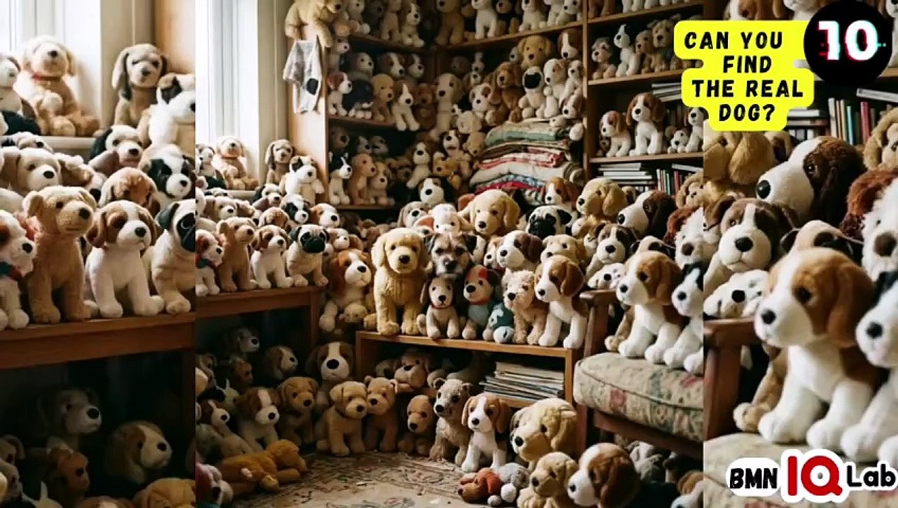 #YourEyesVsTheDogs 👀⚔️🐕 Can You Find The Real Dog? (Part 4) 🐕
