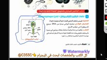 DNA شرح تجربة البكتيريوفاج بالكامل