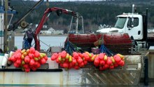 Un milliard pour les ports : Grande-Entrée dans la ligne de mire