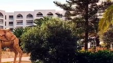 Iberostar Selection Kantaoui Bay Tunezja Sousse All Inclusive