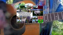WalkingGuitar heute am 1.Mai 2026 #1mai #musicmaking Walk MUSICVIDEO _edit