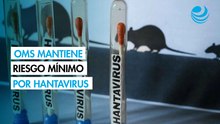 Hantavirus es de riesgo mínimo para la población, reitera la OMS