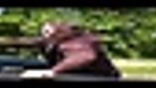 T h e   N i g h t   A g e n t   S 0 3 E 1 0   ( M Y S M A R T M E D I A . C O M . N G ) _ 5 4 0 p [Full Movie] [Latest Version]Full EP - Full