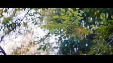 Dopo il tramonto Engsub | Film Completo in Italiano