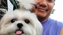 🔴 FRIDAY WALK WITH DIDI AND PICKLES #shorts