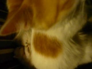 Quart d'heure de folie