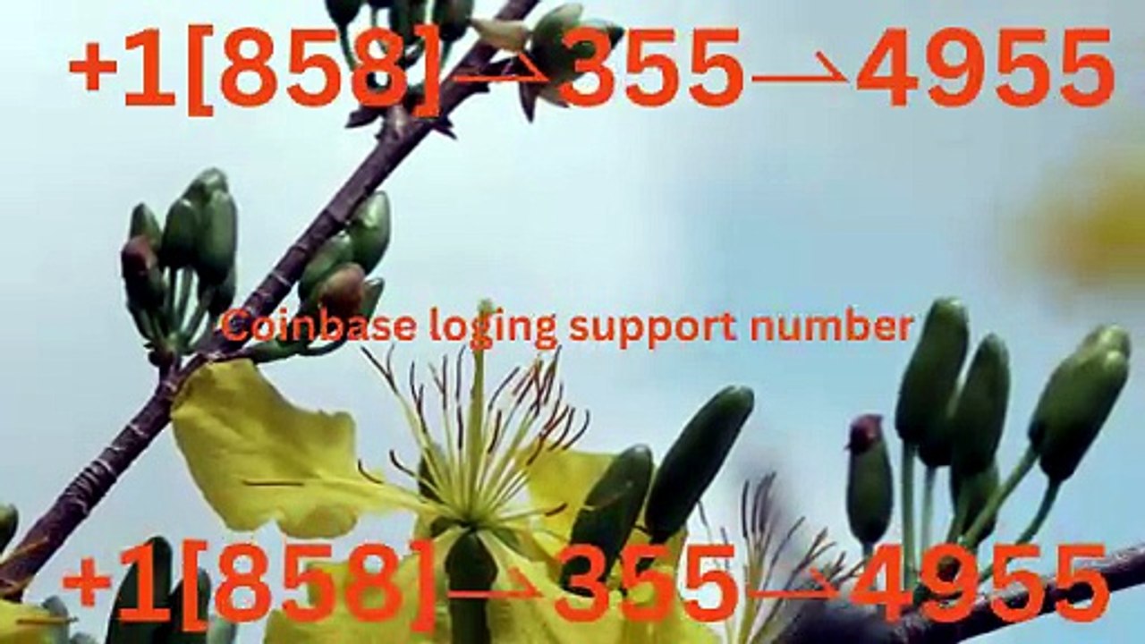 !!121//\\~【*Verified*】⋉अ[FULLGUIDE] Coinbase® WALLET© SuppORT℗ Phone Number