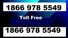 ALL 【Paramount plus® {Help Desk SuppoRt}™ — Paramount plus Toll-Free Numbers & Support Options