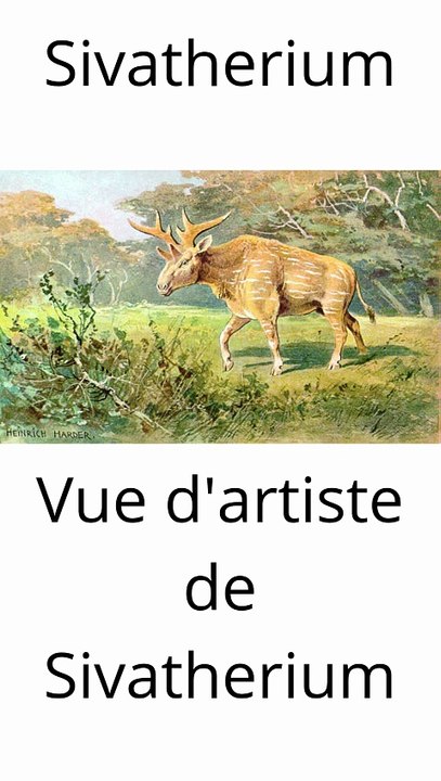 Sivatherium