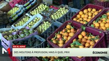 JT Economie - 08/05/2026