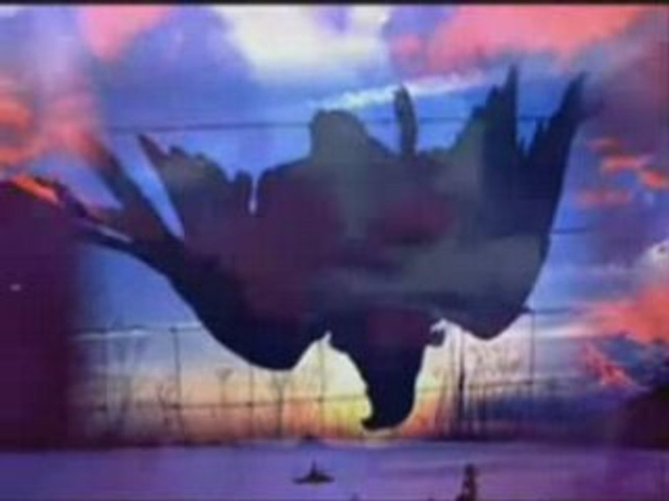 Reflexão Aguia