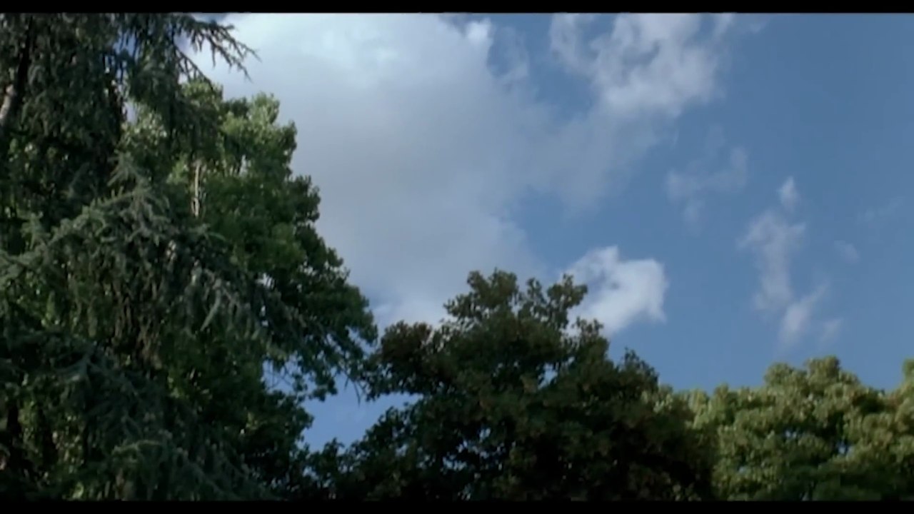 Quartett D’Amour – Liebe, wen du willst Film deutsch
