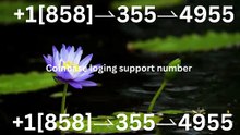 【2026】™ [*List] of Coinbase Help Desk Numbers in the USA: Everything Explained