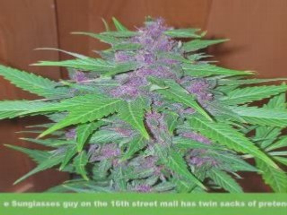 Crop Report - Budget Crisis PT2