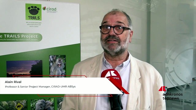Rival (Cirad): “Progetto Trails per integrazione sostenibile tra foreste e palma da olio”