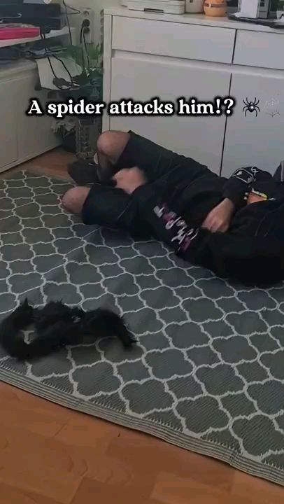 A spider attacks him !? 🕷🕸