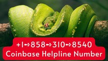 【FAQ*】≋!!Complete™ List of coinbaseⓃ CUSTOMER© Care℗ (Help Desk Number Support) Numbers A Complete Guide