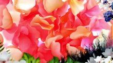 Flower Boy  Episode 2 Eng Sub
