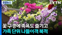 꽃 구경에 족욕도 즐기고...가족 단위 나들이객 '북적' / YTN