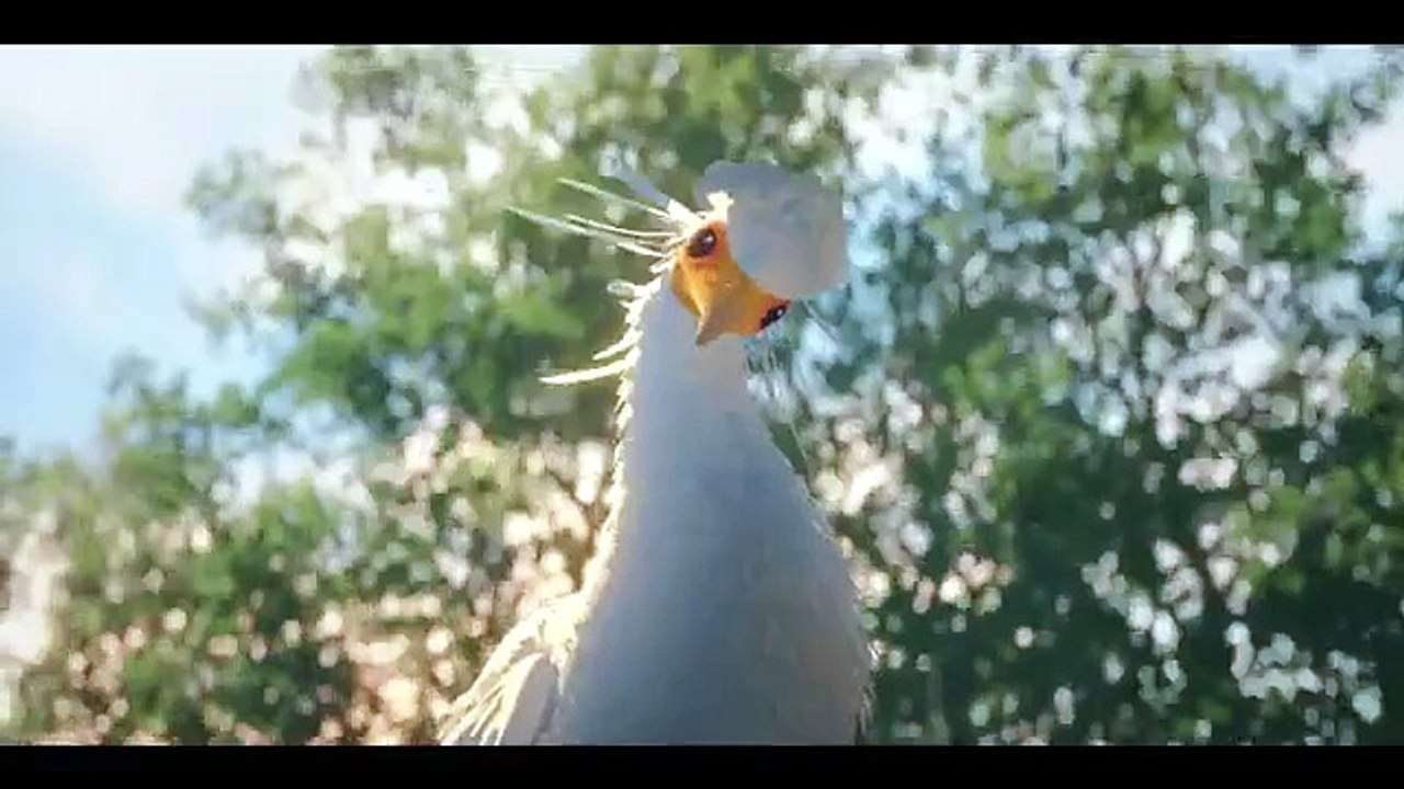Flow, le chat qui n'avait plus peur de l'eau Bande-annonce (PT)
