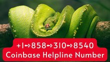 (OfficiAl)≋ F⇢ull List Of Coinbase ®️CARE™ Helpline®️ Phone Numbers : Your Expert Guide