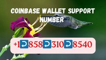 【COINBASE®】Toll- Free And.Helpline } Number - Complete Guide to Live Chat,, and 24/7 Service Care℗@2o26