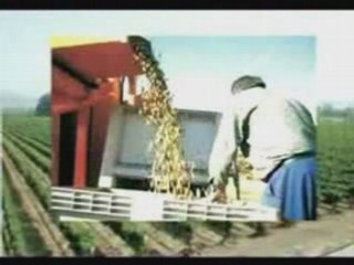 UNA SOLA OPORTUNIDAD