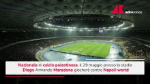 VIDEOSCHEDA