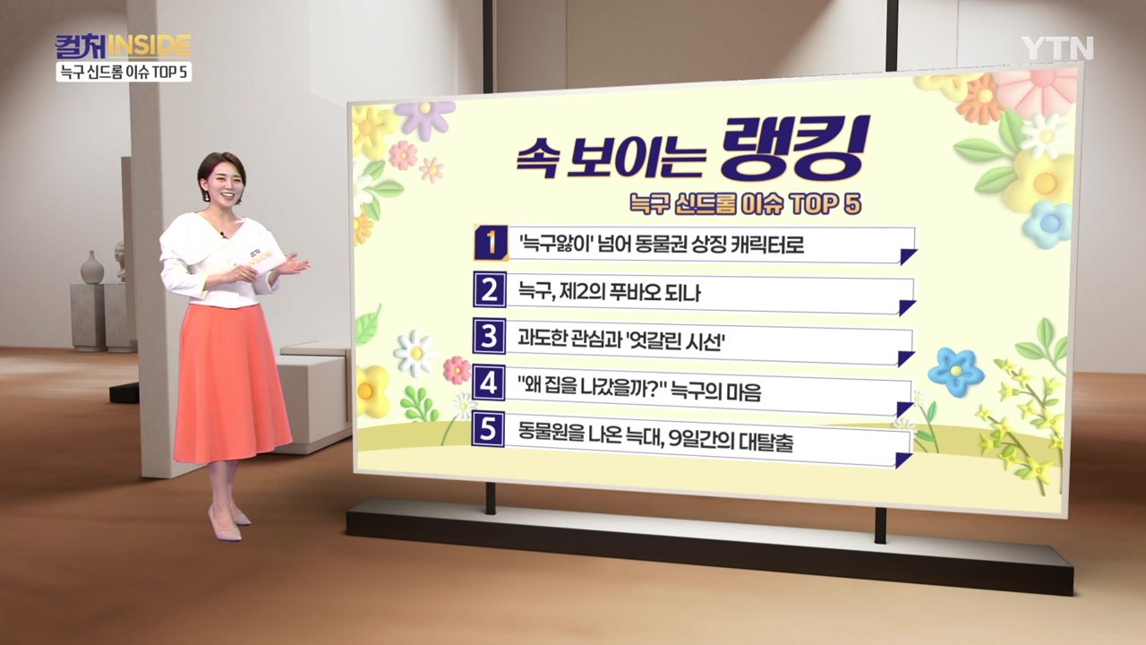 [컬처인사이드] 속 보이는 랭킹 - 늑구 신드롬 이슈 TOP5  / YTN