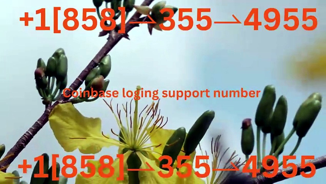 Coinbase® {Customer Wallet SuppoRt} Service™ — Toll-Free Numbers & Helpdesk Options