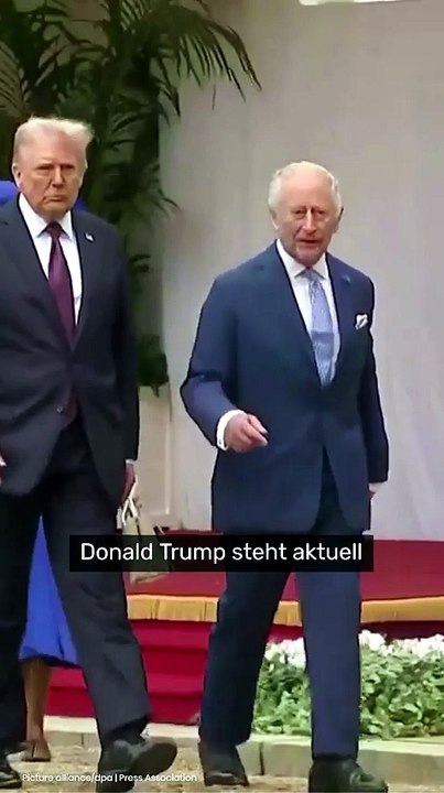 Trump in die Enge getrieben - jetzt gehen Historiker auf ihn los
