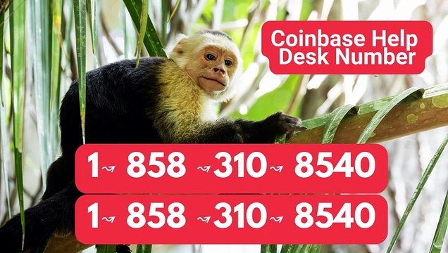 【BIGGEST】™【Verified】 ⁂™[*List of CoinbaseⓃⓃ CUSTOMER© WaLlEt© Care℗ (Toll Free Number Support) Numbers