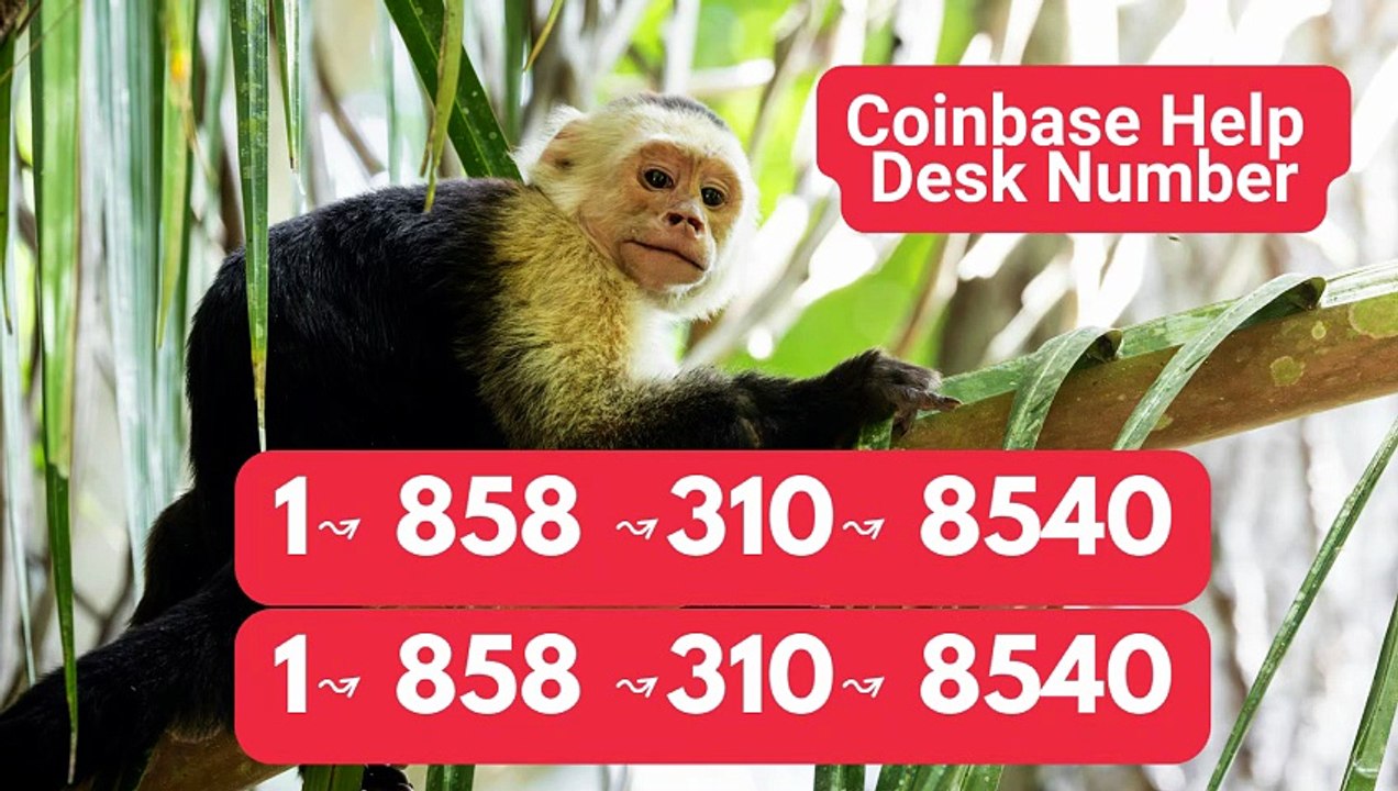 【BIGGEST】™【Verified】 ⁂™[*List of CoinbaseⓃⓃ CUSTOMER© WaLlEt© Care℗ (Toll Free Number Support) Numbers