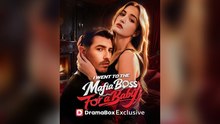 I Went To The Mafia Boss For A Baby