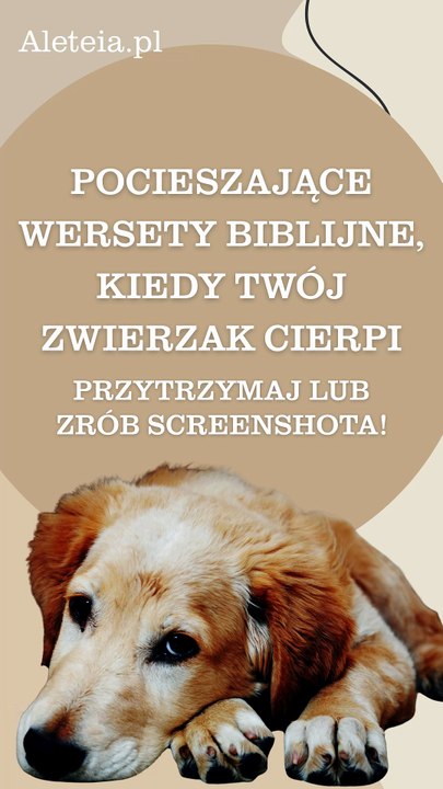 Cytaty biblijne gdy twój zwierzak cierpi